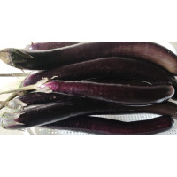 Brinjal- long